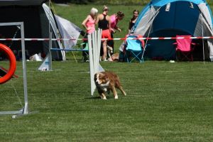 img_6463