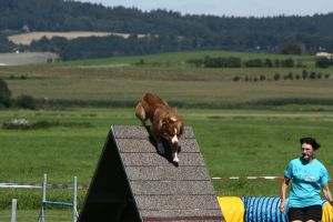 img_6465