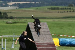 img_6471
