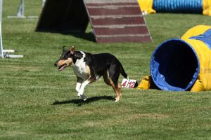 img_6472