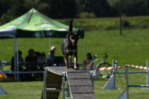 img_6478