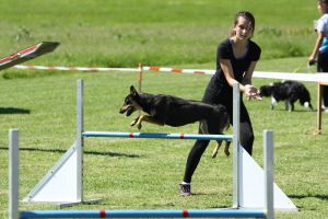 img_6481