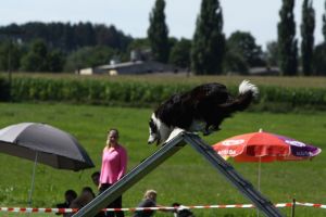 img_6486