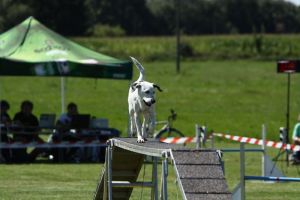 img_6487
