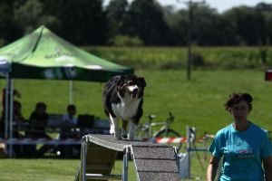 img_6493