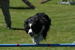img_6500
