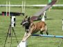 Agility Bolešiny 20. 8. 2016