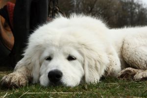 img_3549_m