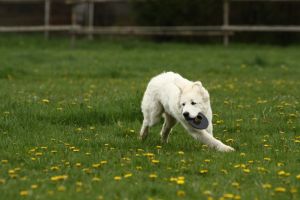 img_3616